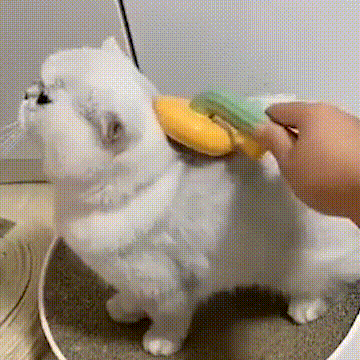 Cepillo para mascotas alta calidad
